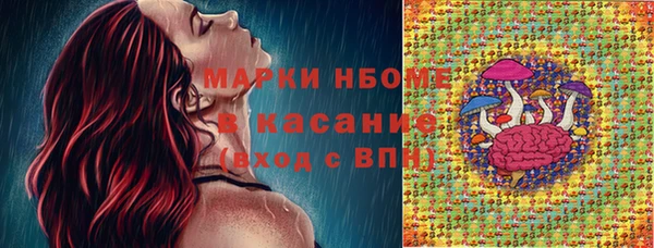 стафф Ладушкин