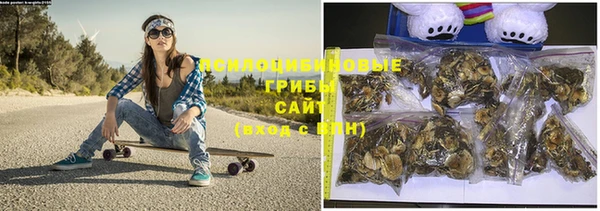 стафф Ладушкин