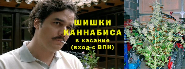 стафф Ладушкин