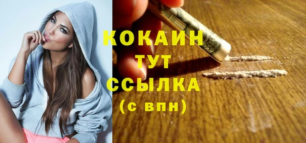 стафф Ладушкин