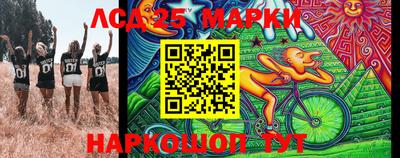 шишки Жуковский