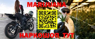 прущие крисы Аргун