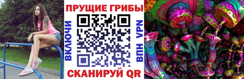 наркошоп  Шумерля  Галлюциногенные грибы прущие грибы 