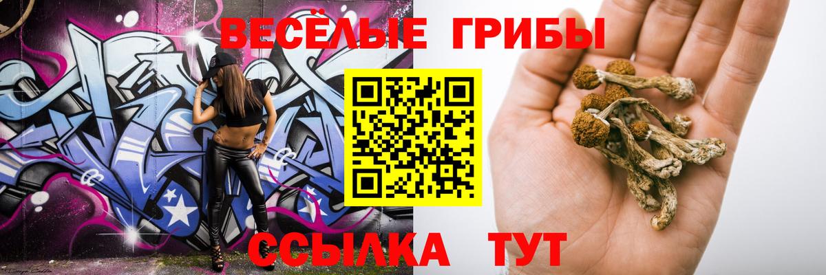 Галлюциногенные грибы Psilocybe  Шумерля 