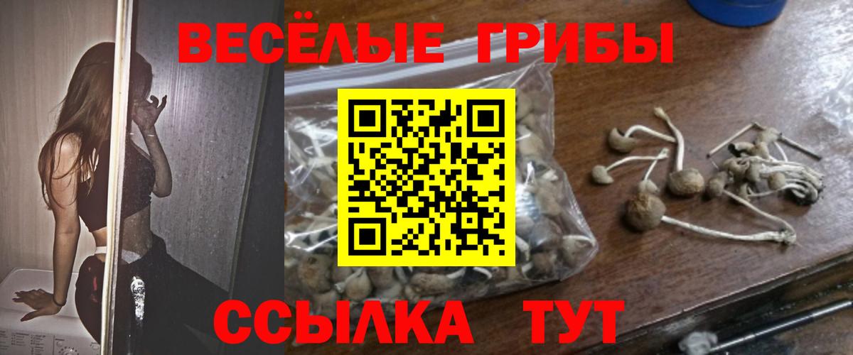 Псилоцибиновые грибы MAGIC MUSHROOMS Шумерля